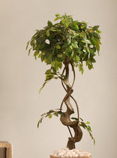 Alamkari India Fabric & Plastic Artificial Ficus Bonsai in Black Pot (120 cm)